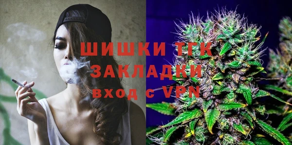spice Новозыбков