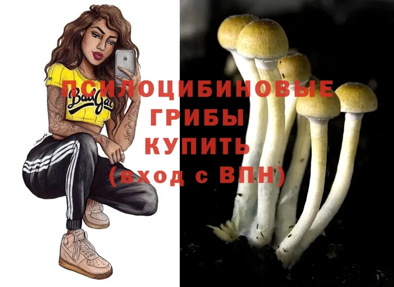купить наркотики цена  Азнакаево  mega как зайти  Псилоцибиновые грибы прущие грибы 