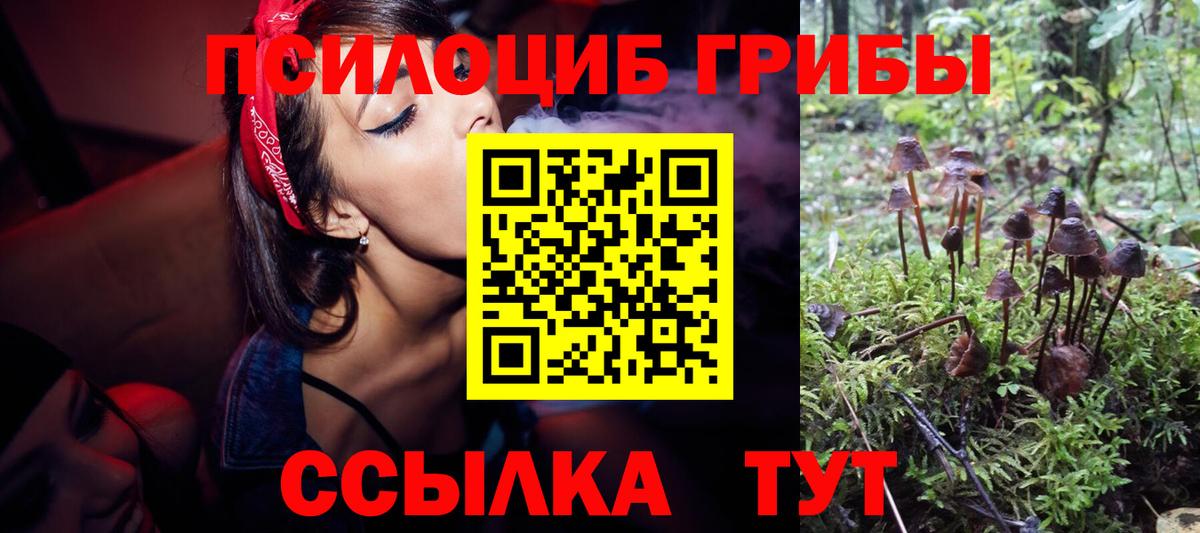 Азнакаево  Галлюциногенные грибы MAGIC MUSHROOMS  Псилоцибиновые грибы мухоморы  Вход с VPN 