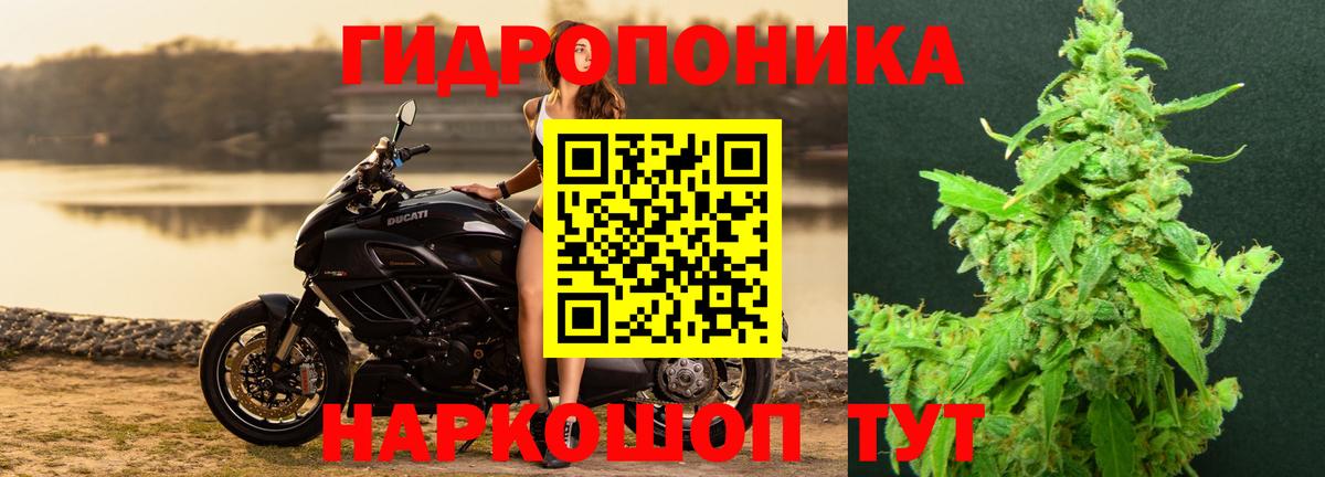 Канабис SATIVA & INDICA  Азнакаево  Шишки марихуана марихуана  МАРИХУАНА план 